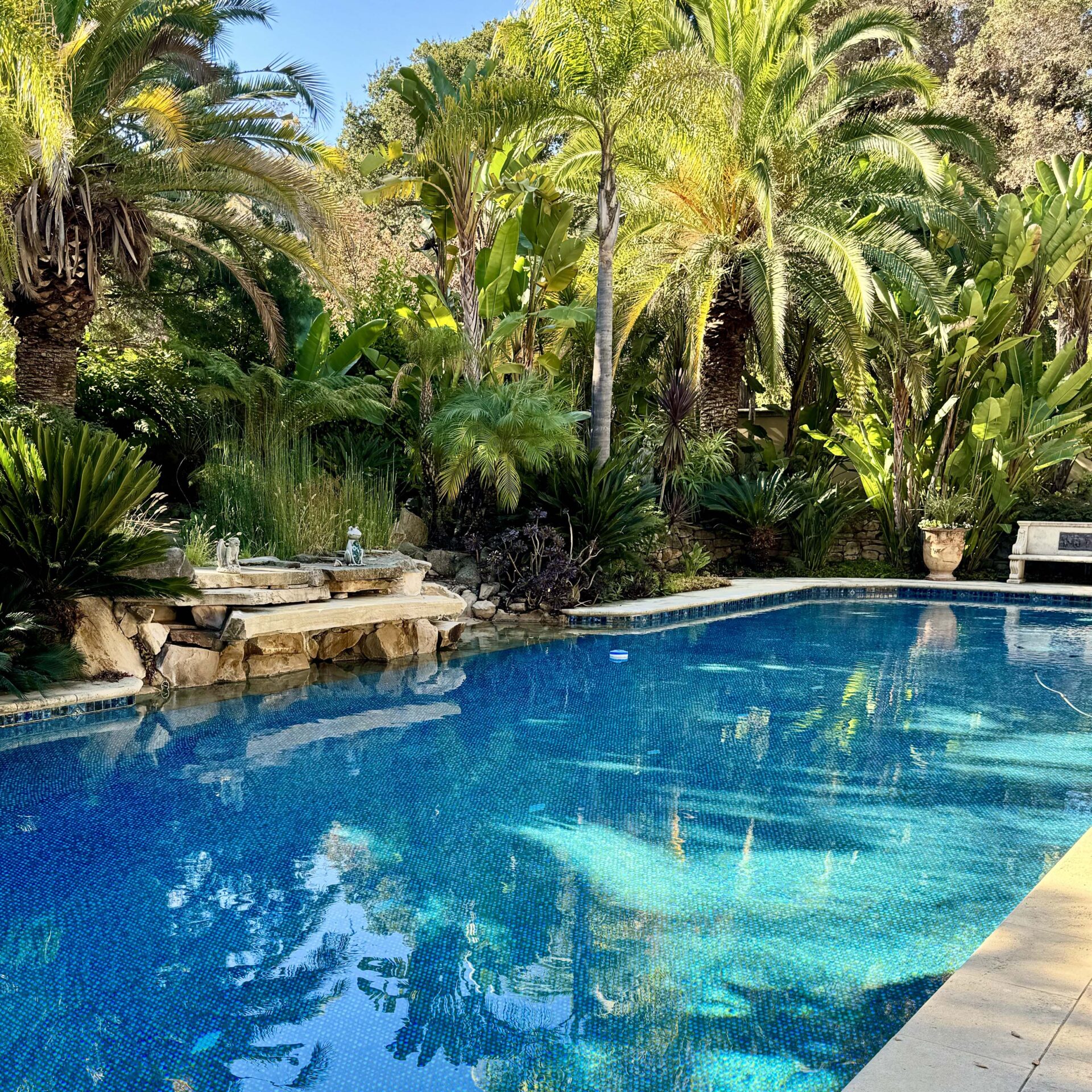 A serene swimming pool surrounded by lush palm trees and greenery, creating a tranquil tropical atmosphere in a secluded garden setting.