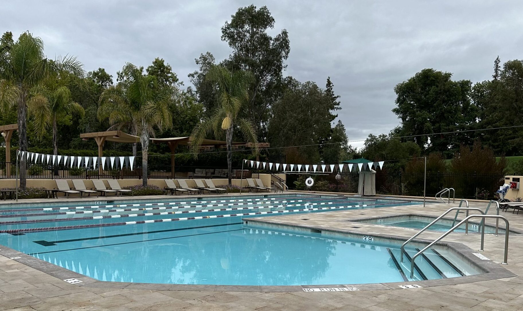 Inviting swimming pool with checkered flags, surrounded by lounge chairs and palm trees. Overcast sky, no people present. Relaxed atmosphere.