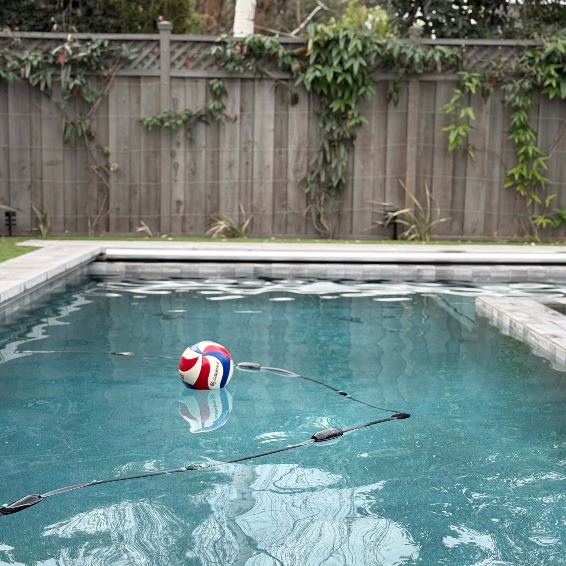 A swimming pool with a floating inflatable ball is enclosed by a wooden fence covered in vines. No people or landmarks are visible.