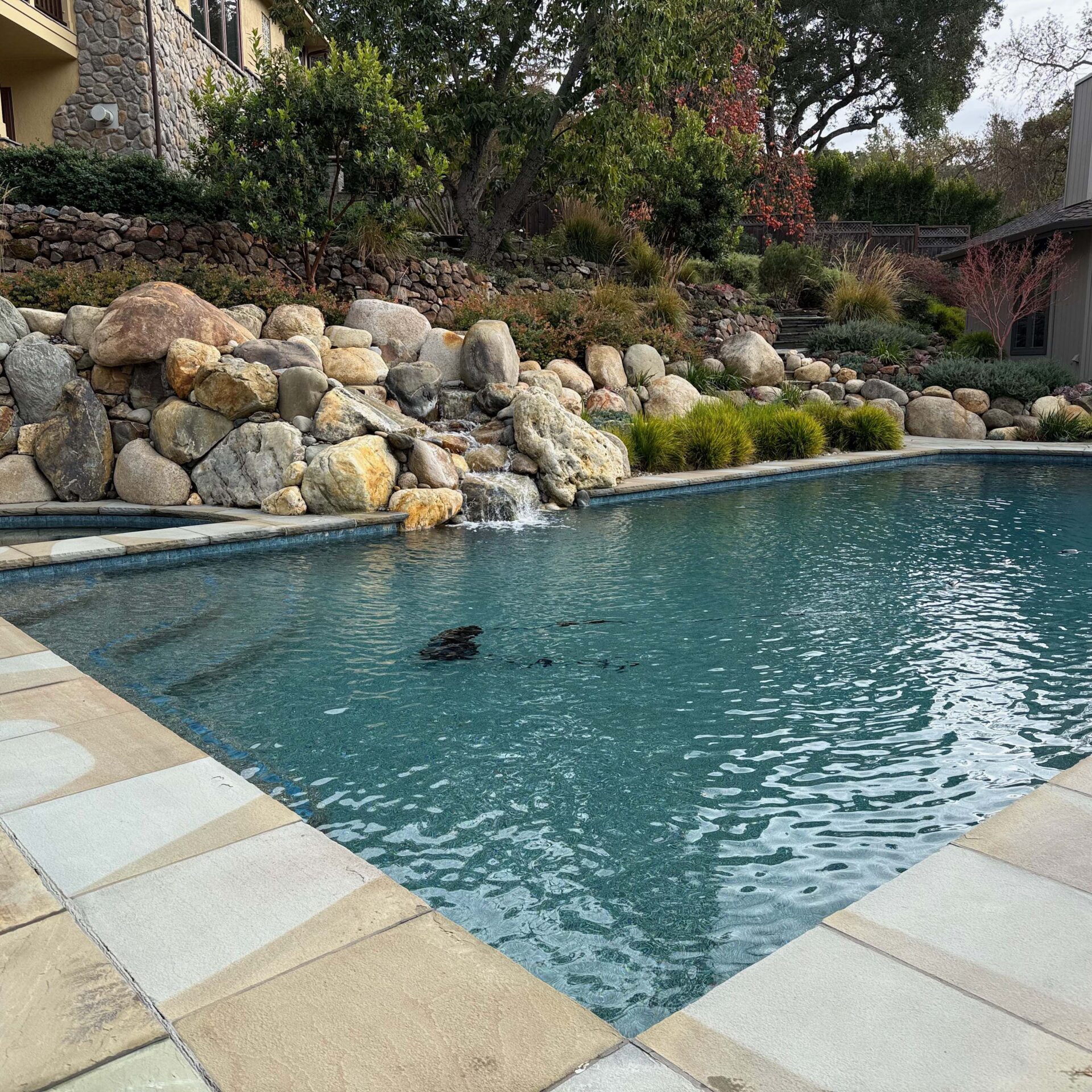 A serene backyard pool surrounded by natural stones and landscaped greenery, bordered by stone pathways, under the shade of mature trees.