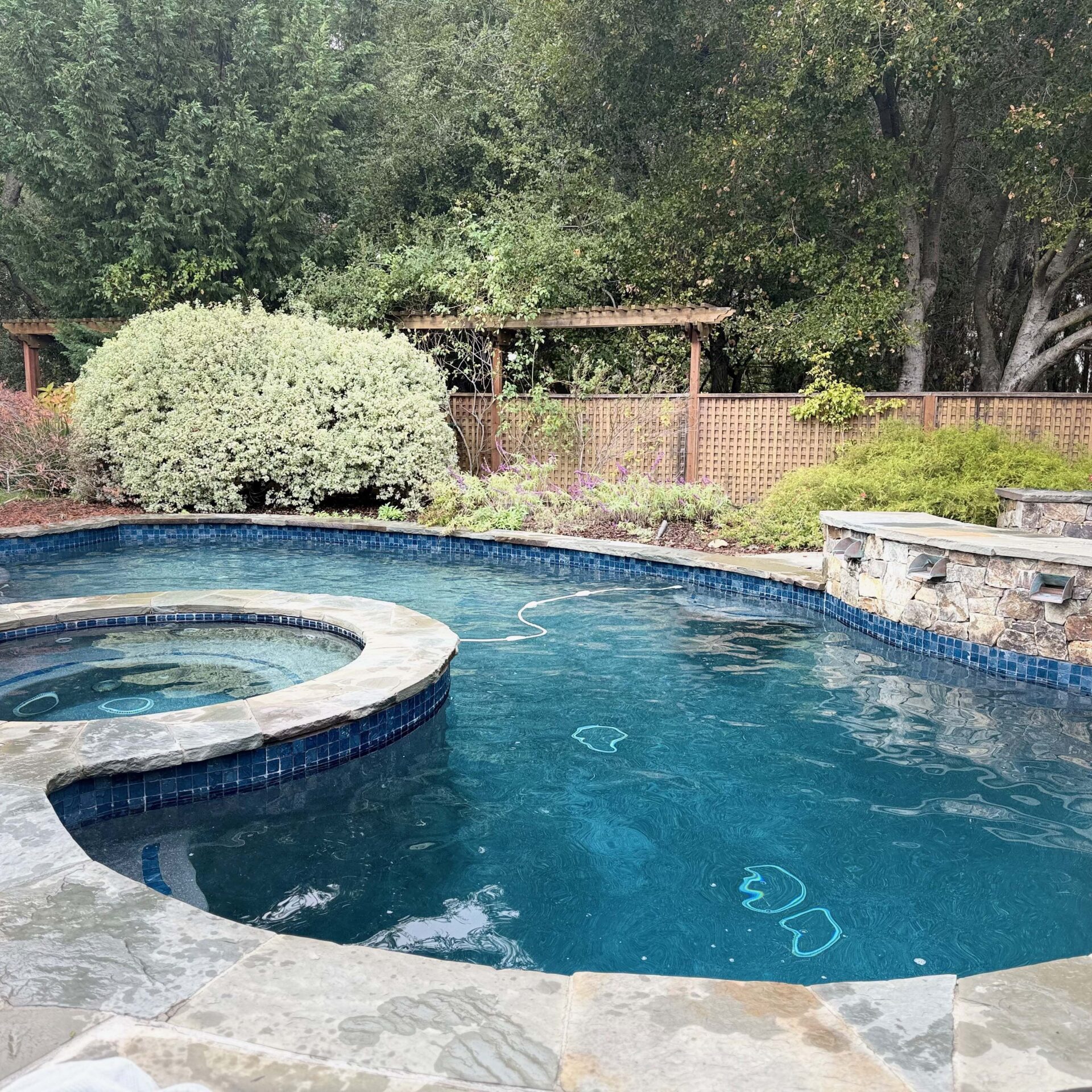 A serene backyard features a pool with stone border, surrounded by lush greenery and wooden trellis fencing, creating a private oasis.