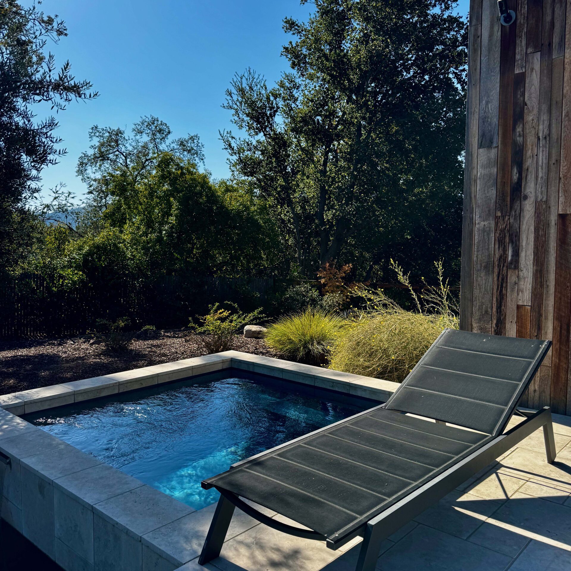 A serene outdoor setting with a small pool, lounge chair, and lush greenery surrounded by trees, under a clear blue sky.